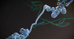 Nález „tmavej hmoty“ by mohol zmeniť liečbu rakoviny